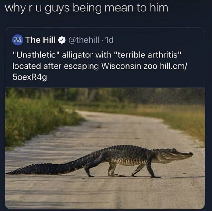 Savage-Rare-Insults-Twitter