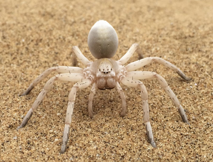 People Share 30 "Genuinely Terrifying" Facts