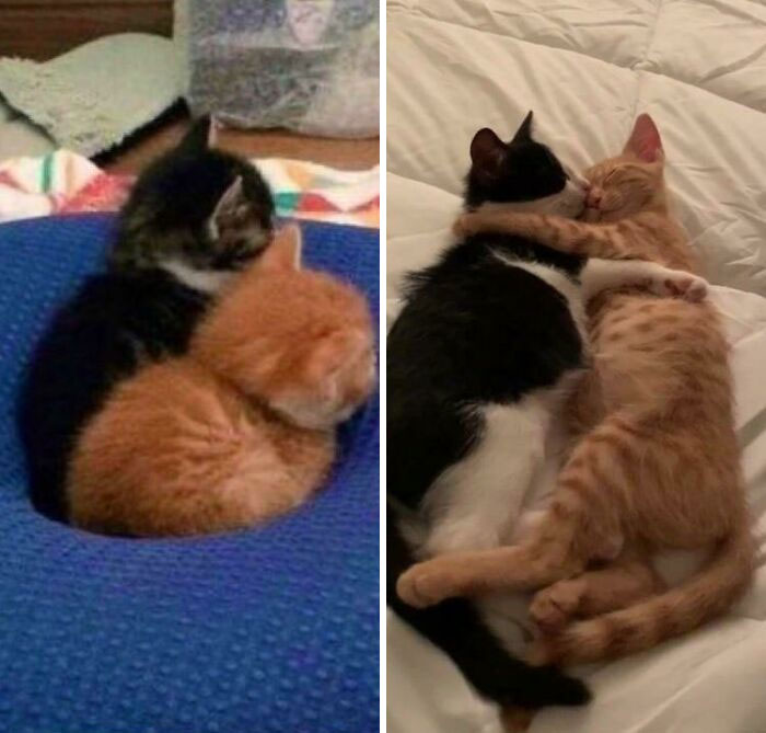 How It Started vs. How Its Going