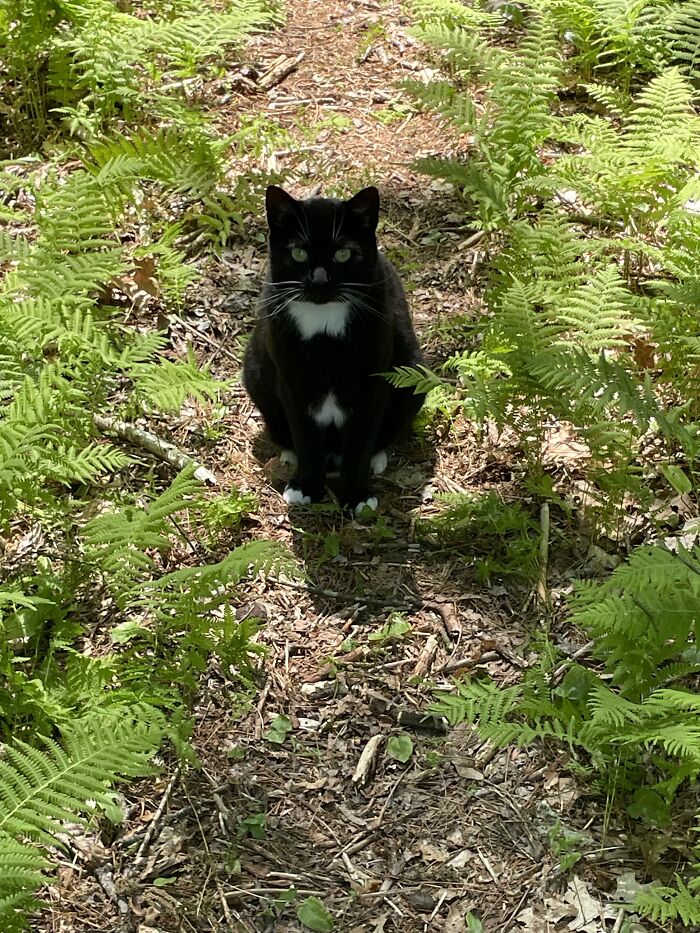 Midnight On An Adventure 💜