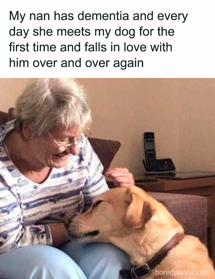 “When Your Dog’s Pure Love Is Really a Medicine”
