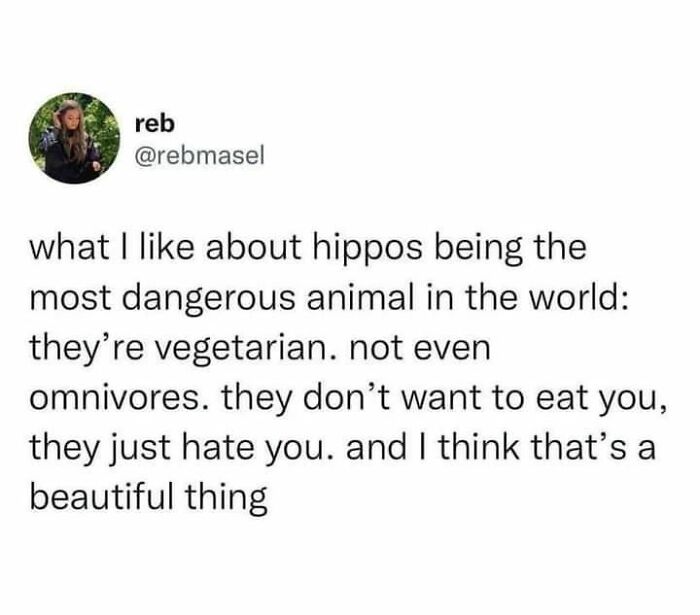 Funny-Cheerful-Nihilism-Memes