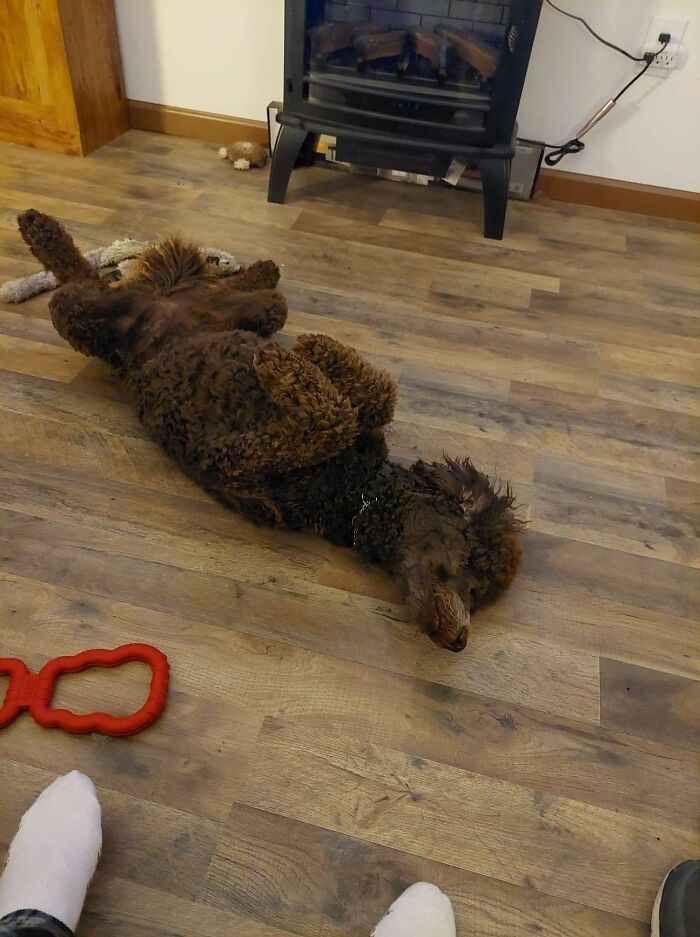 Coco Beats The West Texas Heat Like This