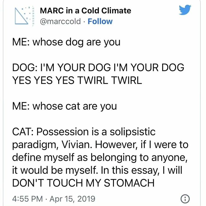 Funny-Cheerful-Nihilism-Memes