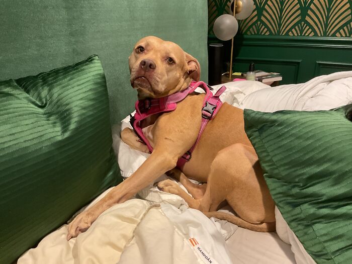 She Was Not Enjoying Me Forcing Her To Take This Pic