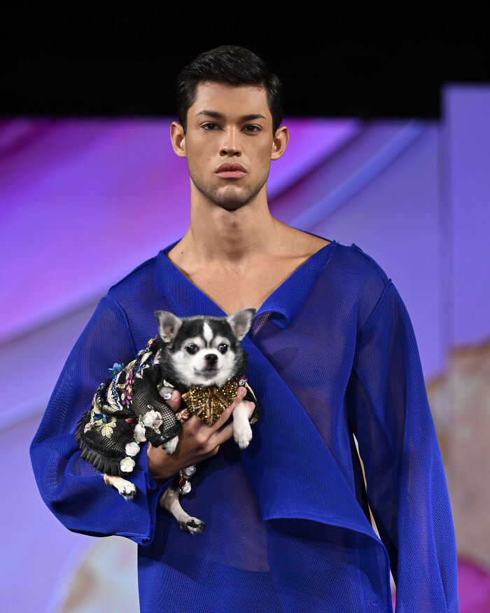 Anthony Rubio Nyfw: Jay With Bogie