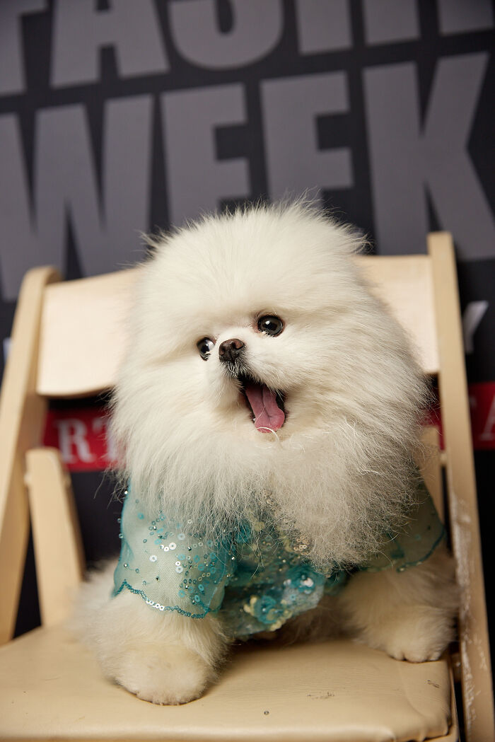 Anthony Rubio Nyfw: Fritz Backstage