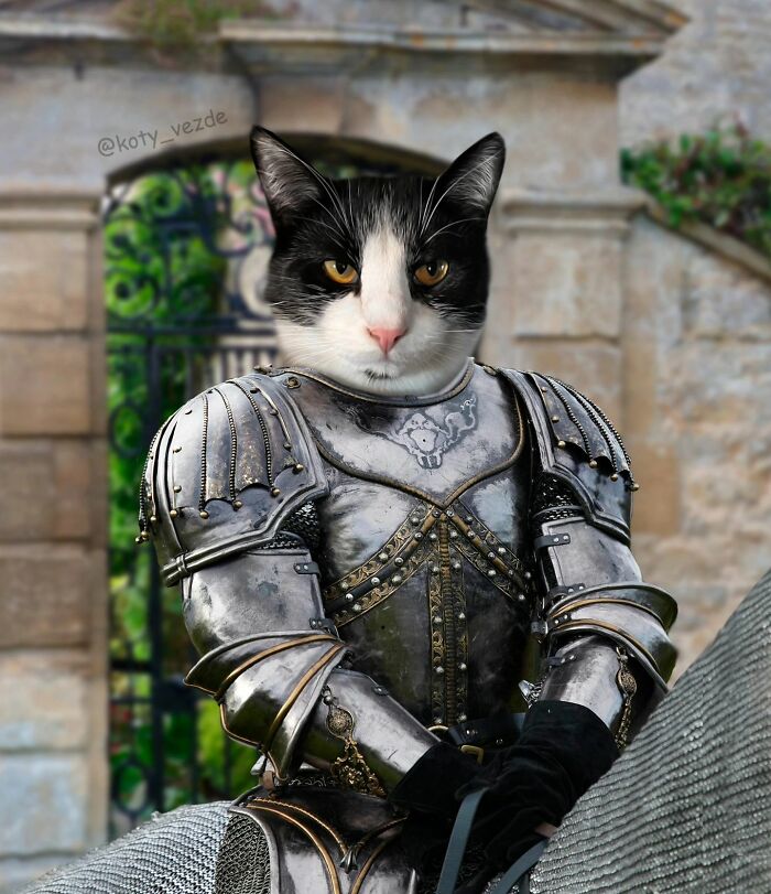 A classical painting of a cat by Galina Bugaevskaya