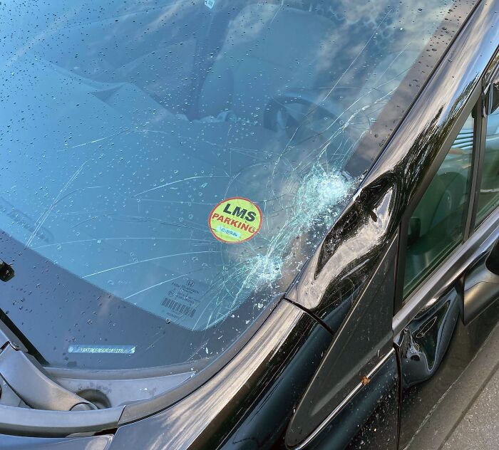 Neighbors Above Me Threw Trash Off Their Balcony Onto My Car