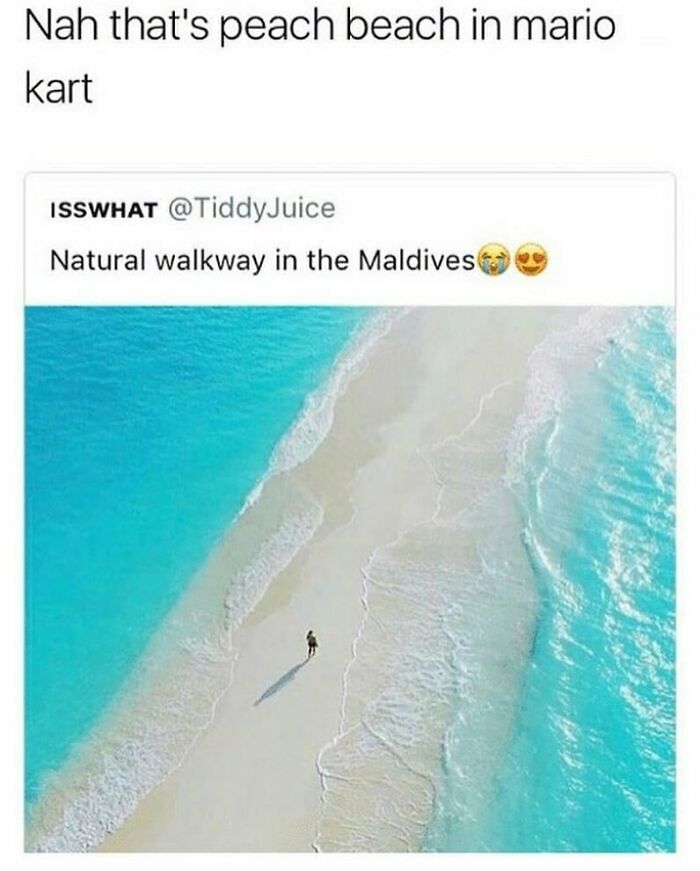 Nostalgic-90s-Memes-Throwbackmachine