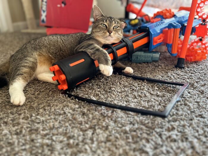 Nerf Gun Bella… Taking Up Modeling. ‘Merica!