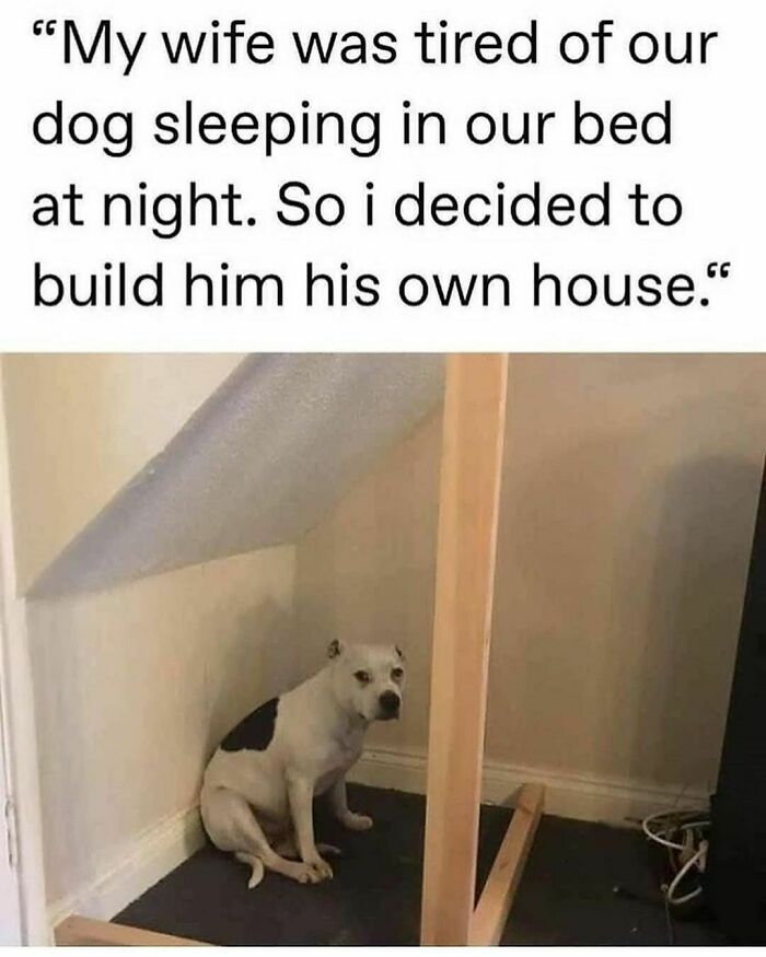 Funny-Sarcastic-Memes-Pics