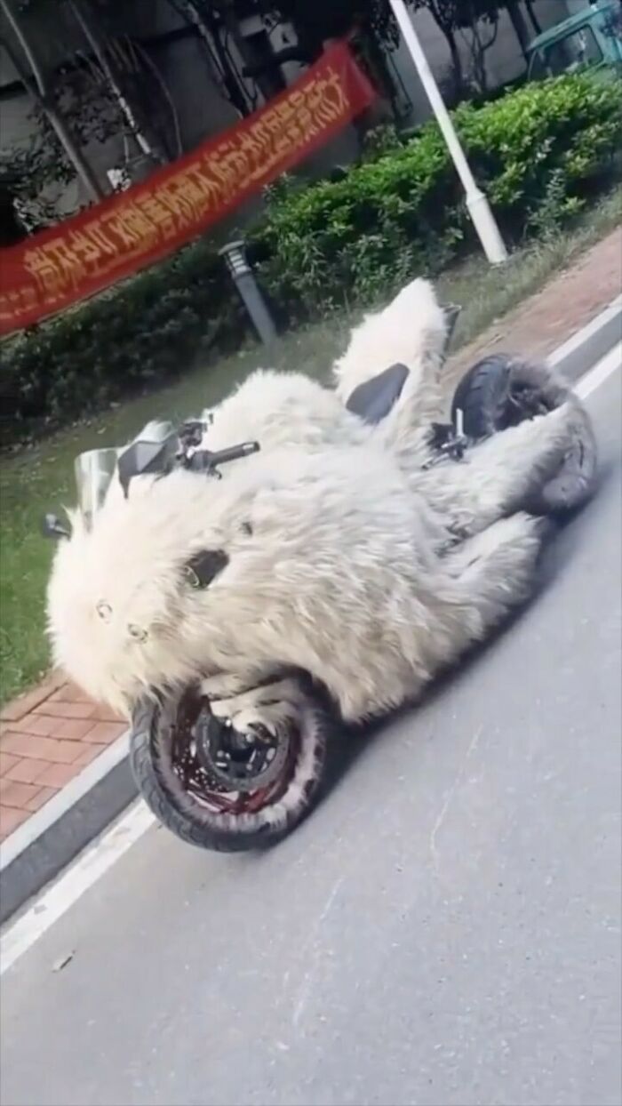 Ugly-Design-Pictures-Instagram