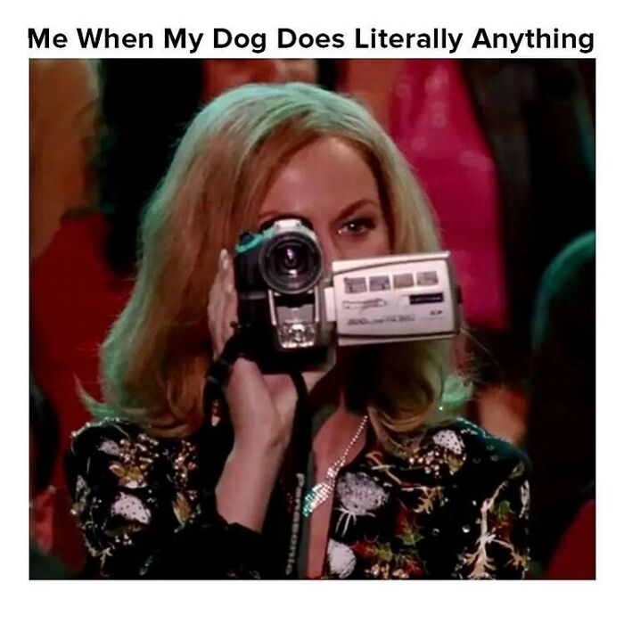 Funny-Sarcastic-Memes-Pics