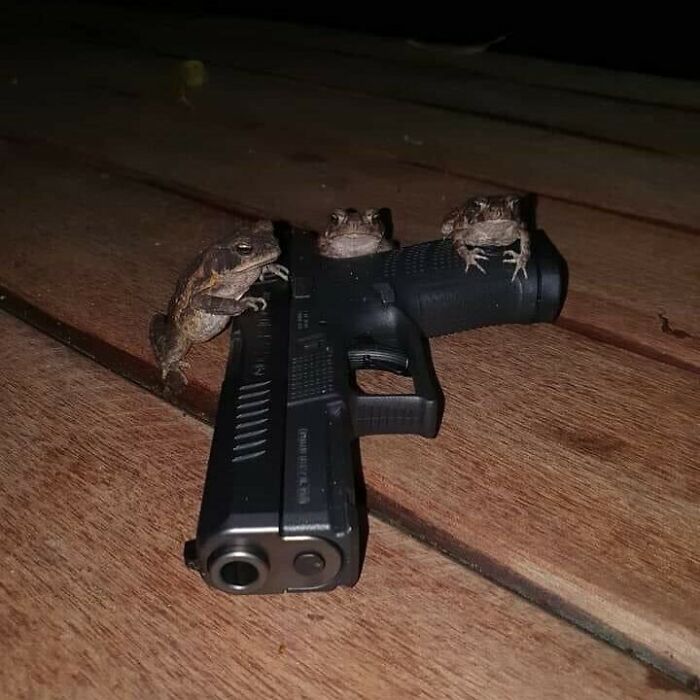 Funny-Cursed-Aesthetic-Pictures