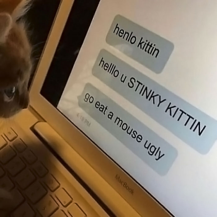 Funny-Cursed-Aesthetic-Pictures