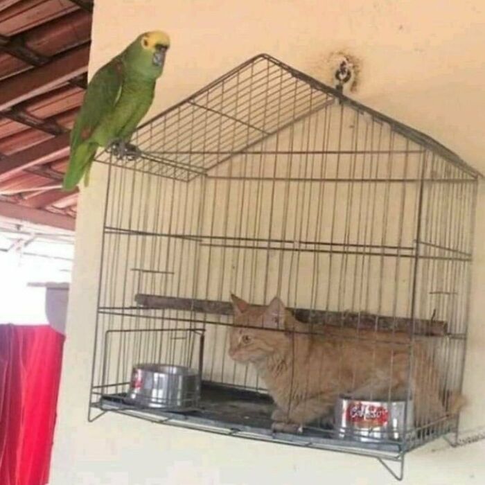 Funny-Cursed-Aesthetic-Pictures