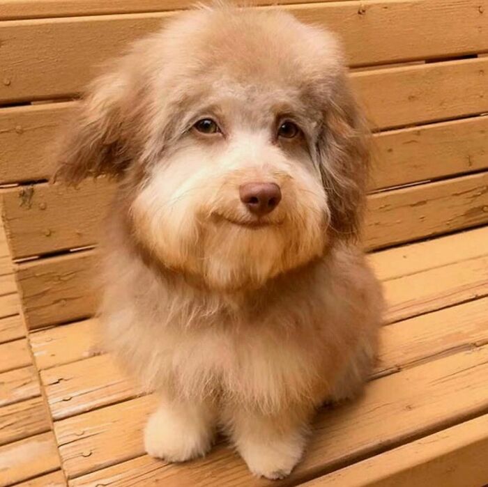 Funny-Cursed-Aesthetic-Pictures