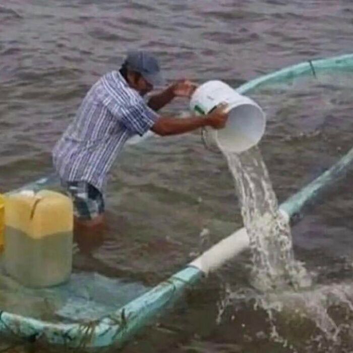 Funny-Cursed-Aesthetic-Pictures