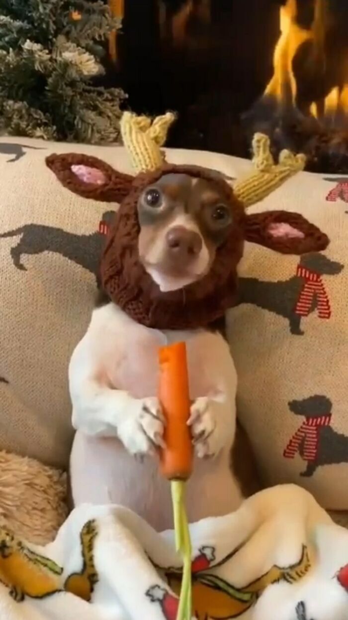 Ugly-Design-Pictures-Instagram