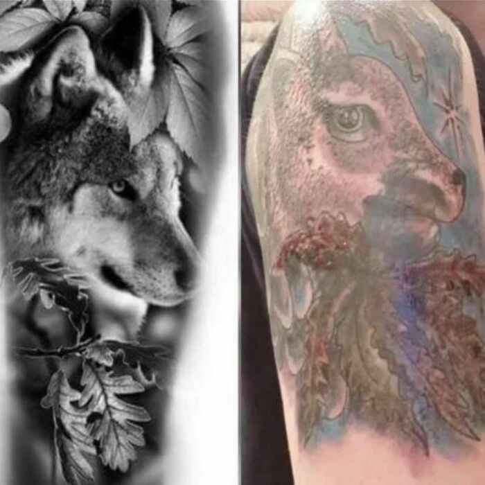 Tattoo failures: left, a detailed wolf design; right, a blurry and colorful attempt, showcasing lessons in ink.
