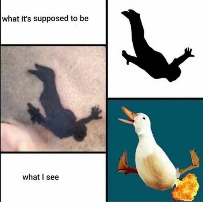 Tattoo outlines fail turning into a duck with fiery feet, depicting epic lessons in ink mishaps.