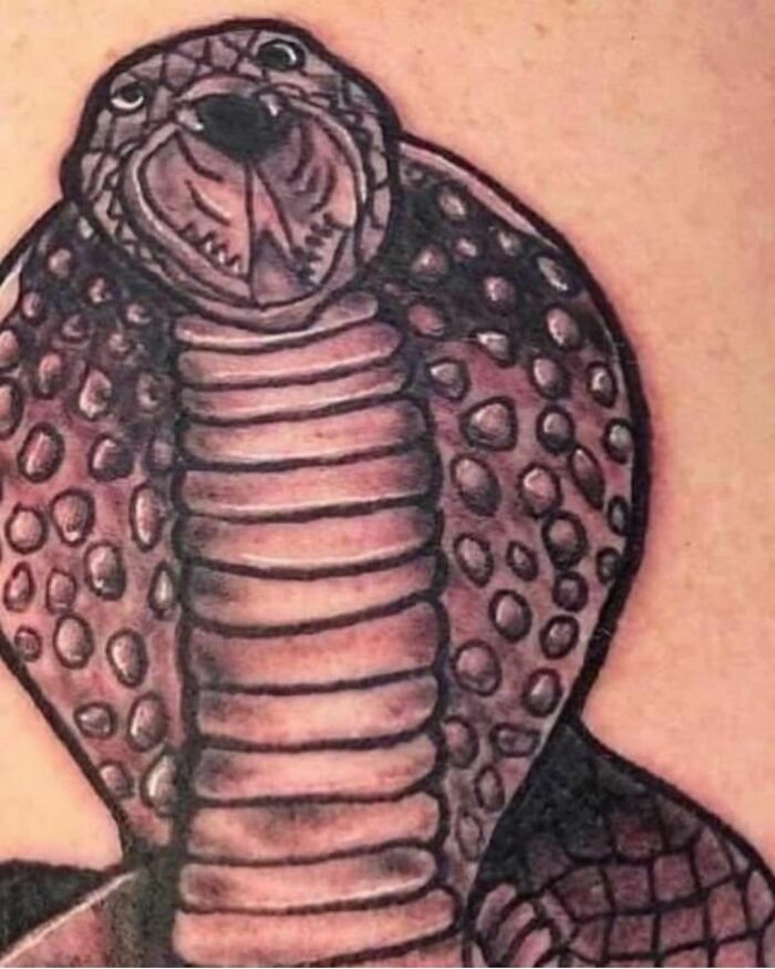 Tattoo fail depicting a distorted cobra design.