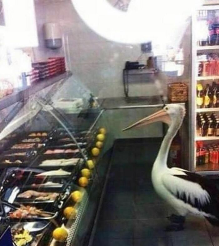 Funny-Cursed-Aesthetic-Pictures