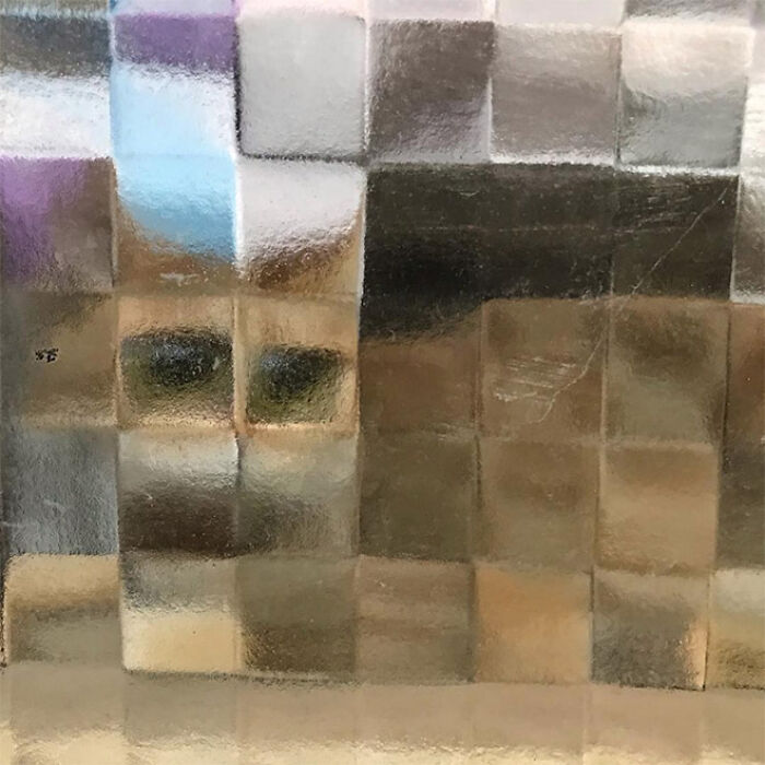 21 Funny Photos Of “Low-Resolution” Cats Behind Pixelated Glass Doors