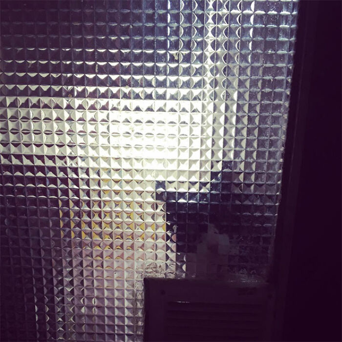 21 Funny Photos Of “Low-Resolution” Cats Behind Pixelated Glass Doors