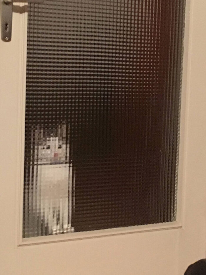 21 Funny Photos Of “Low-Resolution” Cats Behind Pixelated Glass Doors