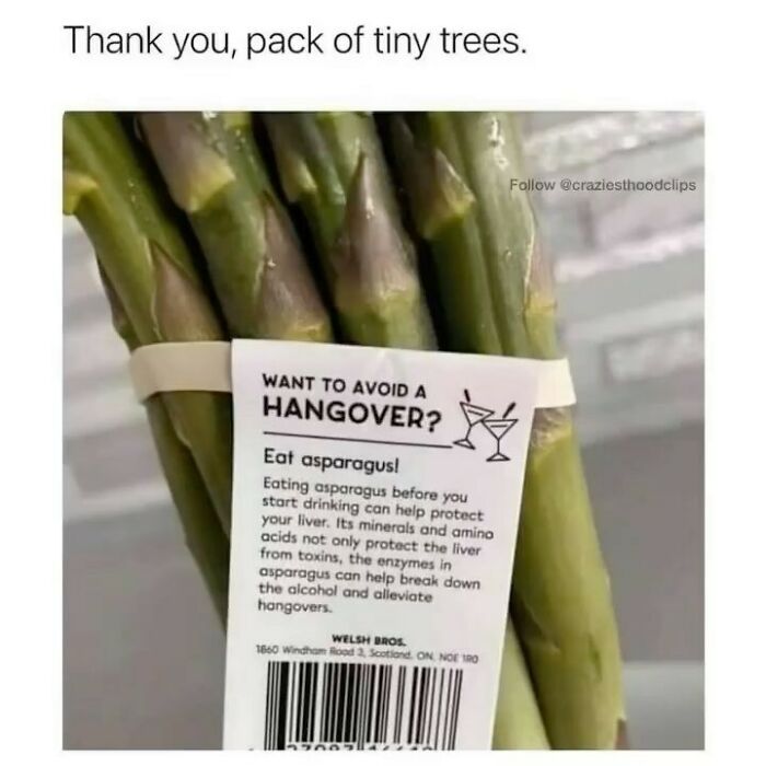 Women-Jokes-Memes-Myfemalebible