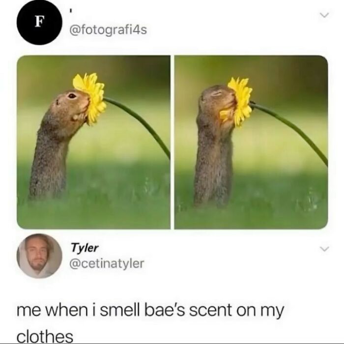 Women-Jokes-Memes-Myfemalebible