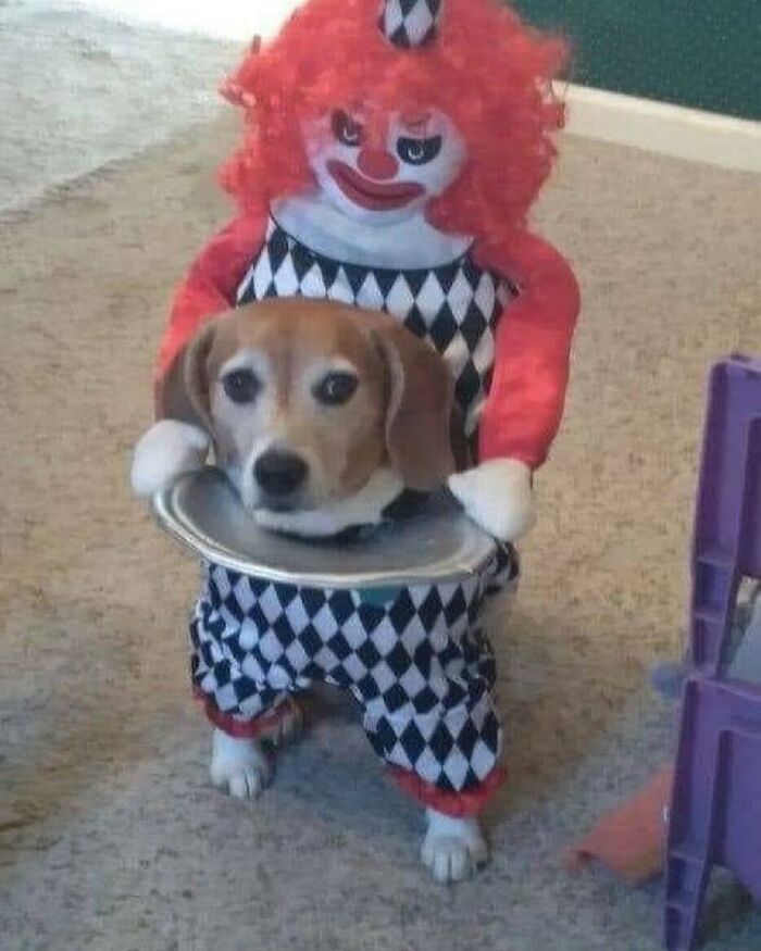 Ugly-Design-Pictures-Instagram