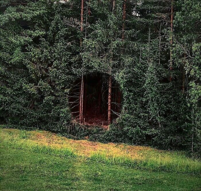 Funny-Cursed-Aesthetic-Pictures