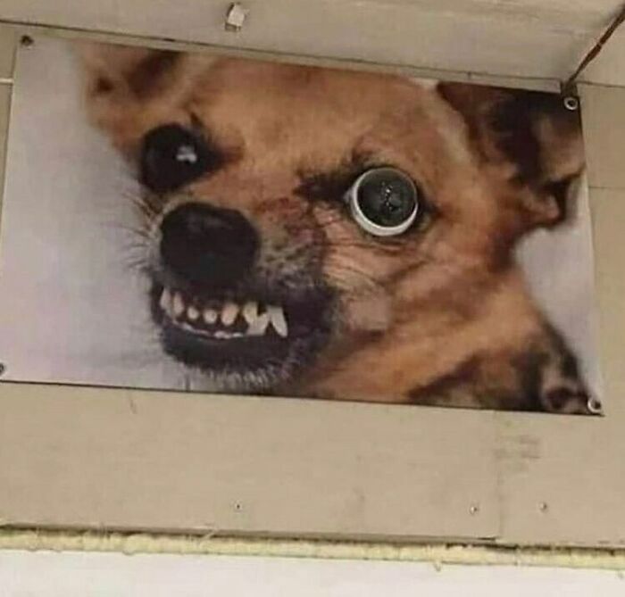 Ugly-Design-Pictures-Instagram