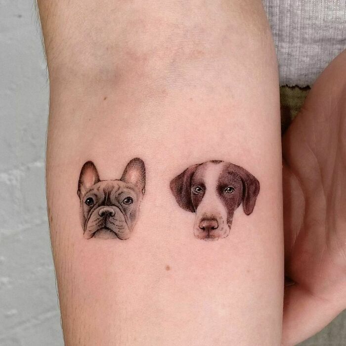 Two realistic dog portraits tattooed on a forearm, symbolizing family memorial.