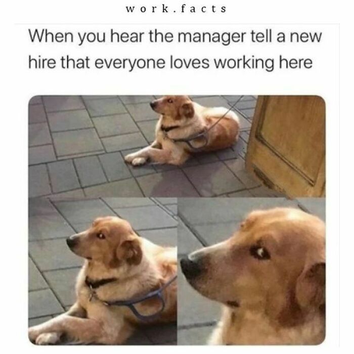 Work-Related-Memes