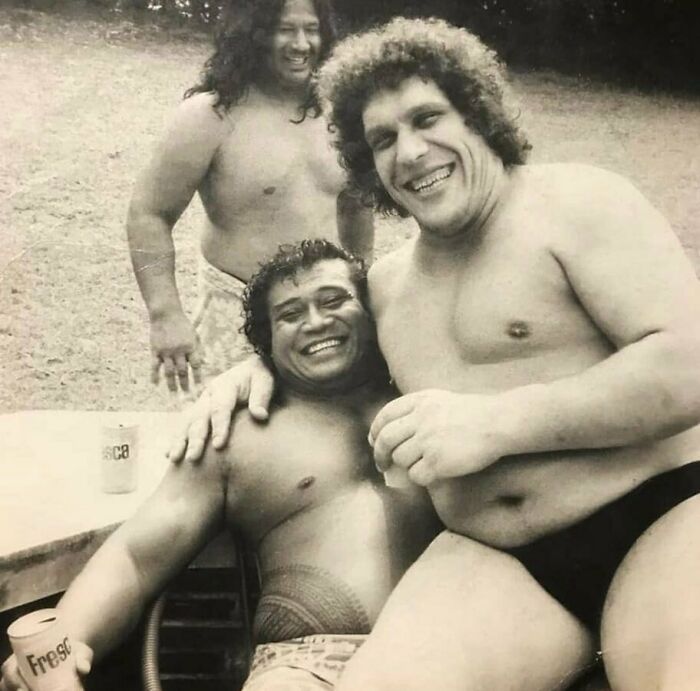 André The Giant, Using Dwayne Johnson's Grandfather (Weighing 315lb), High Chief Peter Maivia As A Booster Seat. 1970s