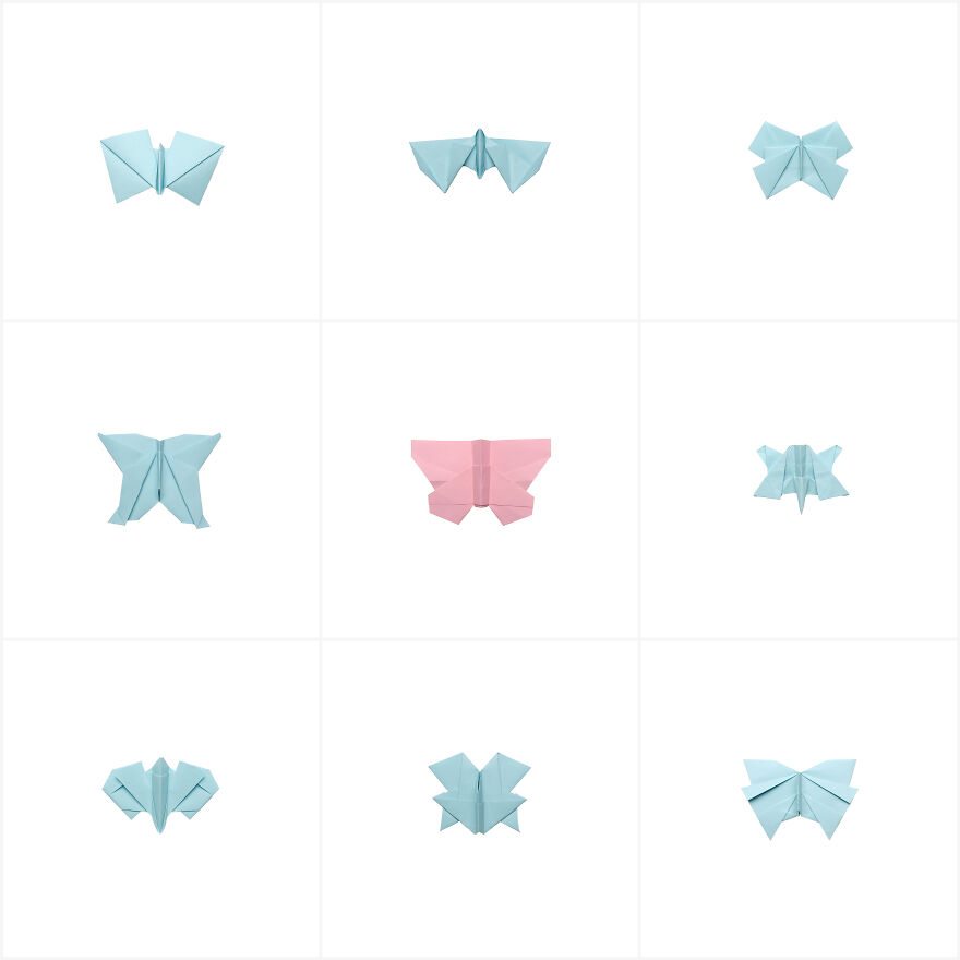 I Made Over 1000 Origami Butterflies (22 Pics)