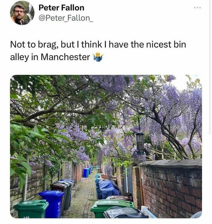 British-Humor-Nostalgia-Memes