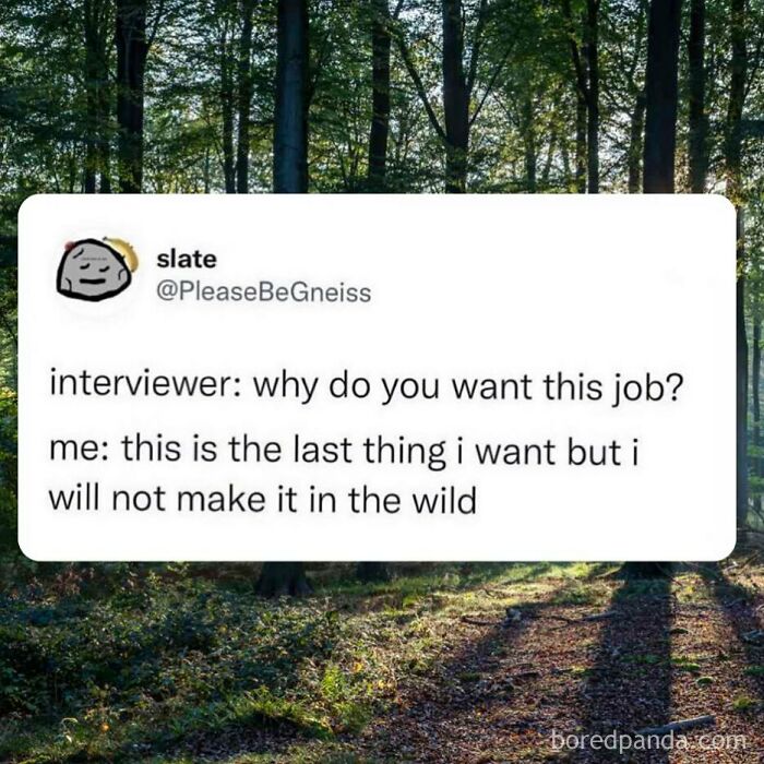 Only If The Animals Could Take Care Of Me