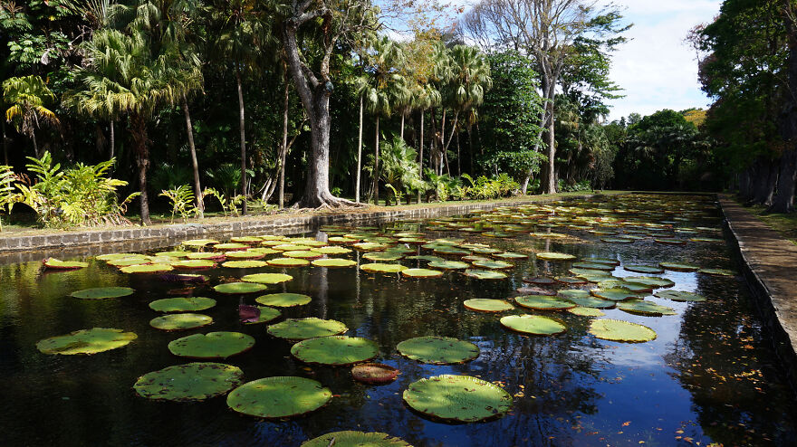 Mauritius Is More Than Just Beaches