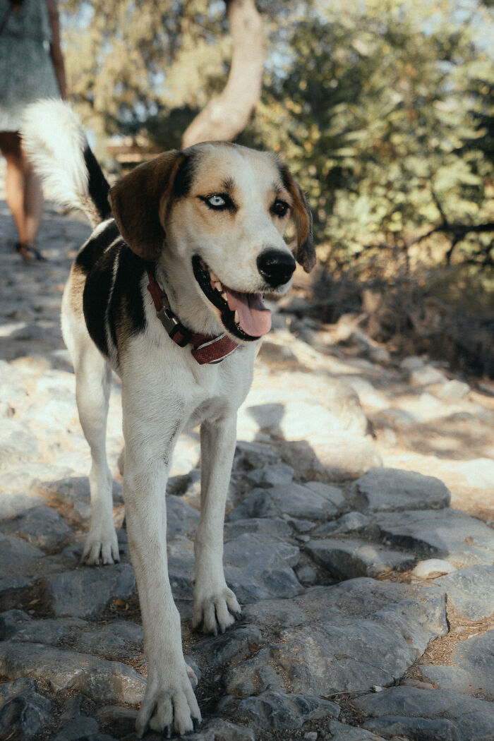 A Photograph Taken In Rhodes Island In Greece