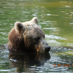 miguelcarlosramos avatar