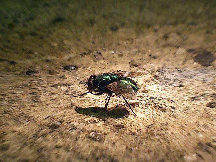 Disconcerting Images (6 Pics)