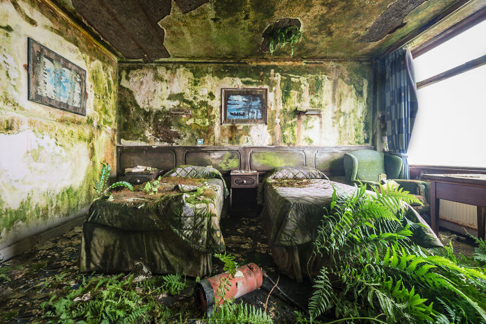 Post-apocalyptic abandoned room with overgrown plants, decayed walls, and two old beds in a ruined setting.