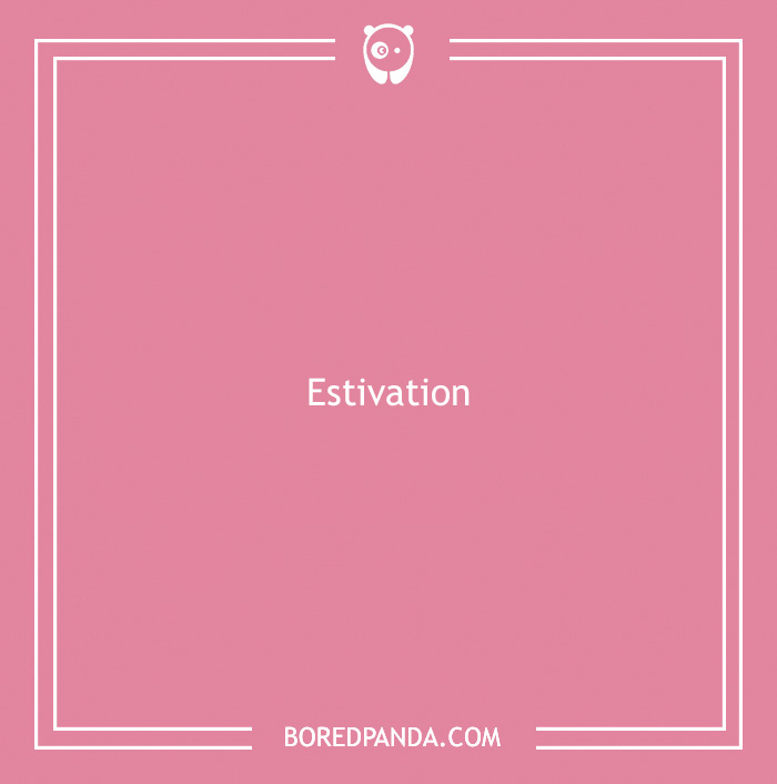 Estivation word on pink background, a useless fact to possibly impress your friends with unique vocabulary.
