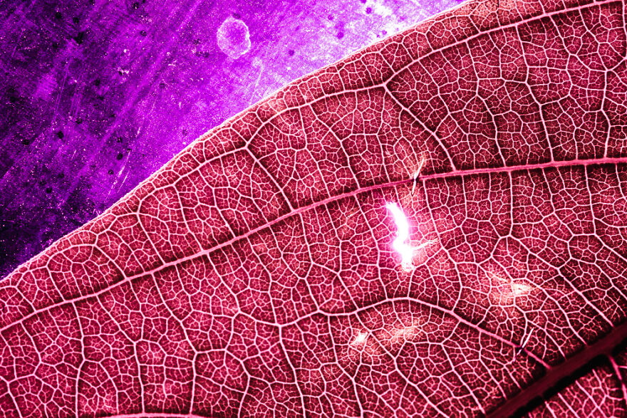 The Meditative Experience