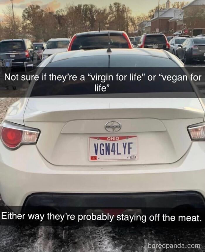 Savage-Rare-Insults-Twitter